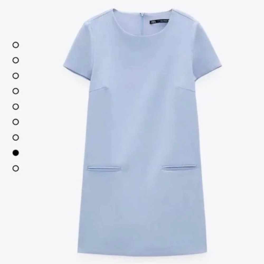 Zara Shift Dress